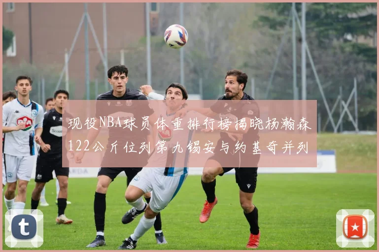 现役NBA球员体重排行榜揭晓杨瀚森122公斤位列第九锡安与约基奇并列第三