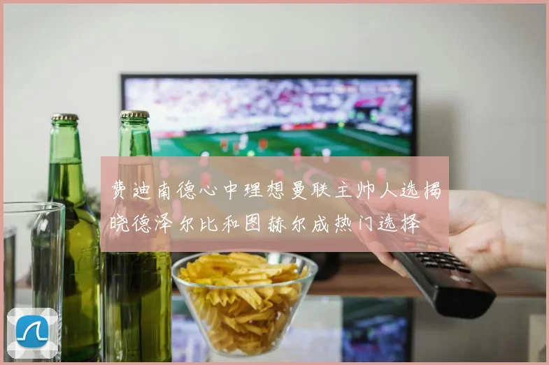费迪南德心中理想曼联主帅人选揭晓德泽尔比和图赫尔成热门选择