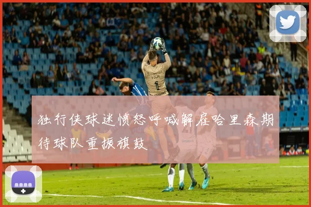 独行侠球迷愤怒呼喊解雇哈里森期待球队重振旗鼓